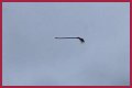 Disturbing video shows floating broom in the middle of the air and the internet is losing its collective mind